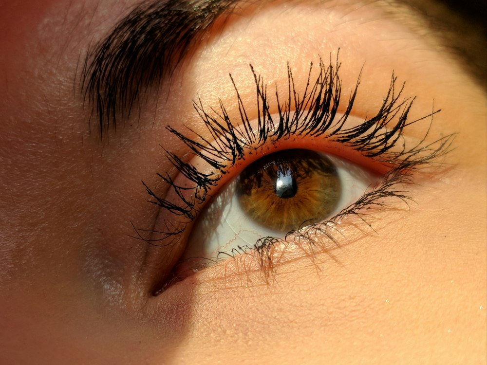 Lash Brows Skincare Retreat